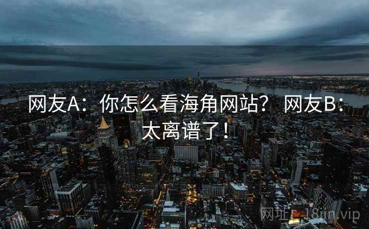 网友A：你怎么看海角网站？ 网友B：太离谱了！