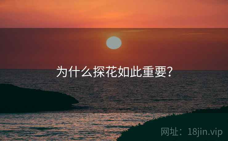 为什么探花如此重要？