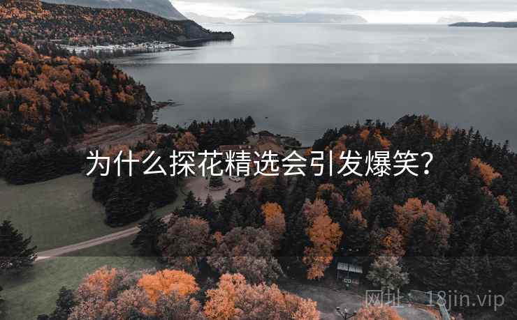 为什么探花精选会引发爆笑？