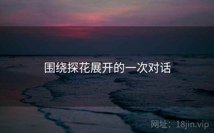 围绕探花展开的一次对话