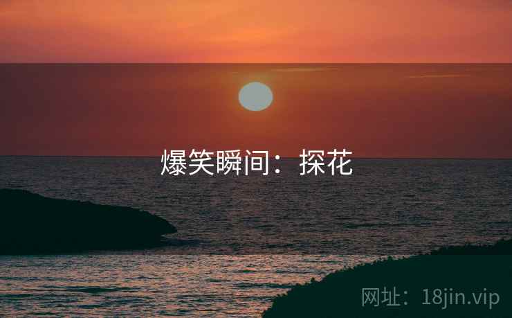 爆笑瞬间：探花