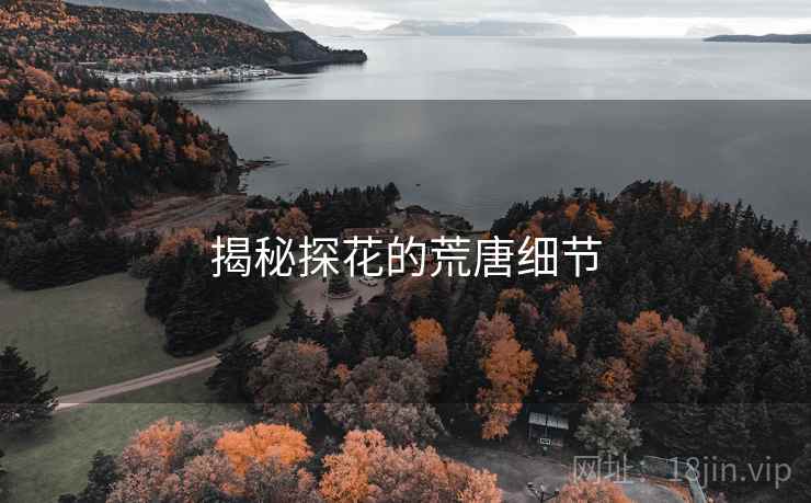 揭秘探花的荒唐细节