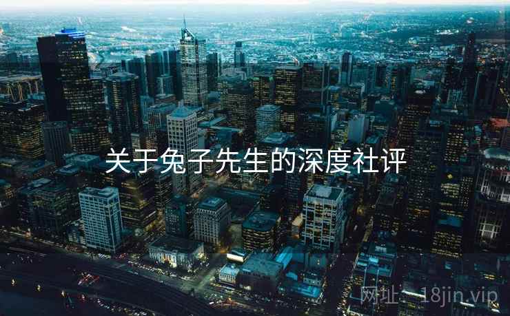 关于兔子先生的深度社评