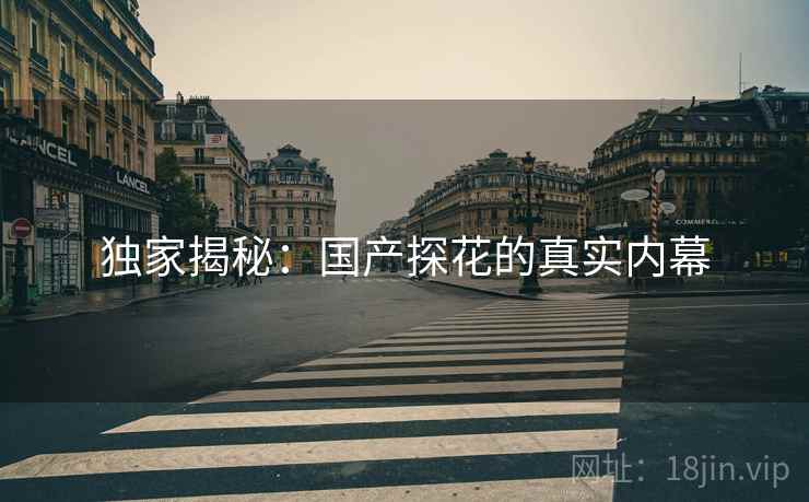 独家揭秘:国产探花的真实内幕