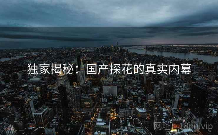 独家揭秘:国产探花的真实内幕