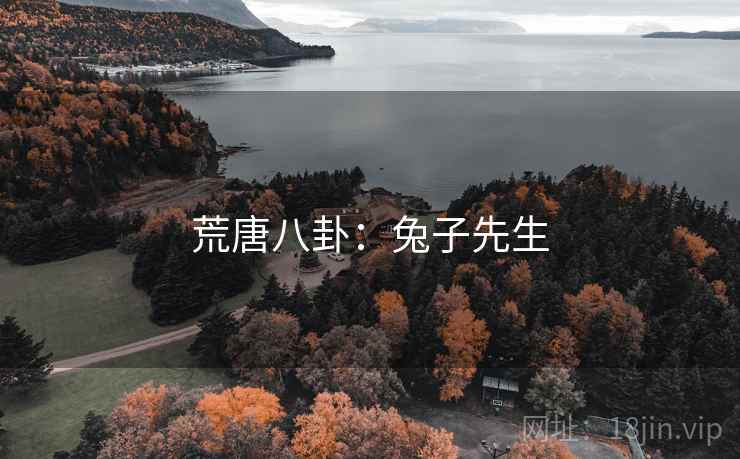 荒唐八卦：兔子先生
