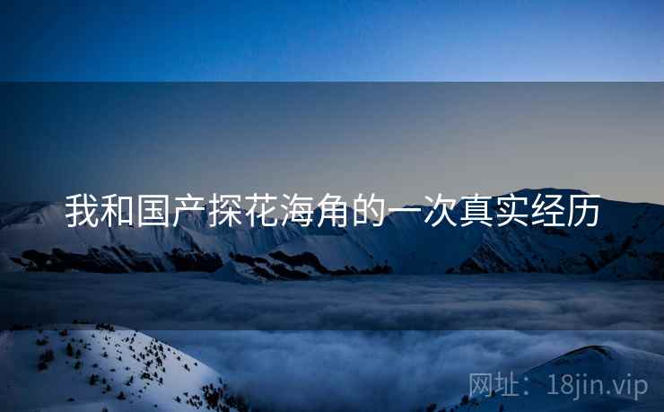 我和国产探花海角的一次真实经历
