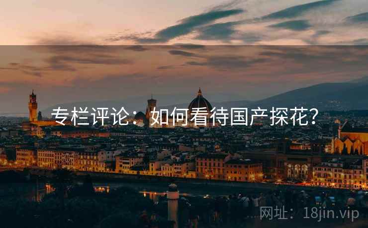 详细阅读:专栏评论:如何看待国产探花? 专栏评论:如何看待国产探花?